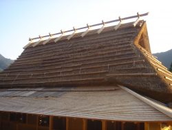 Traditional Japanese roof