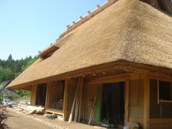 Traditional Japanese roof