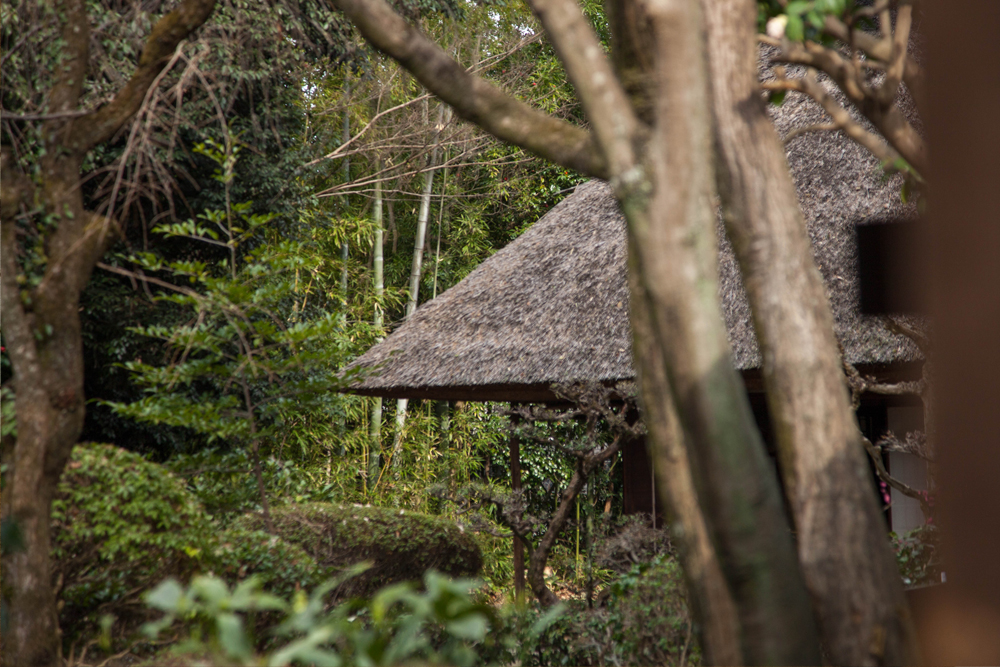 Kyoto Tea Houses – 翠紅舎-Suikoushya-